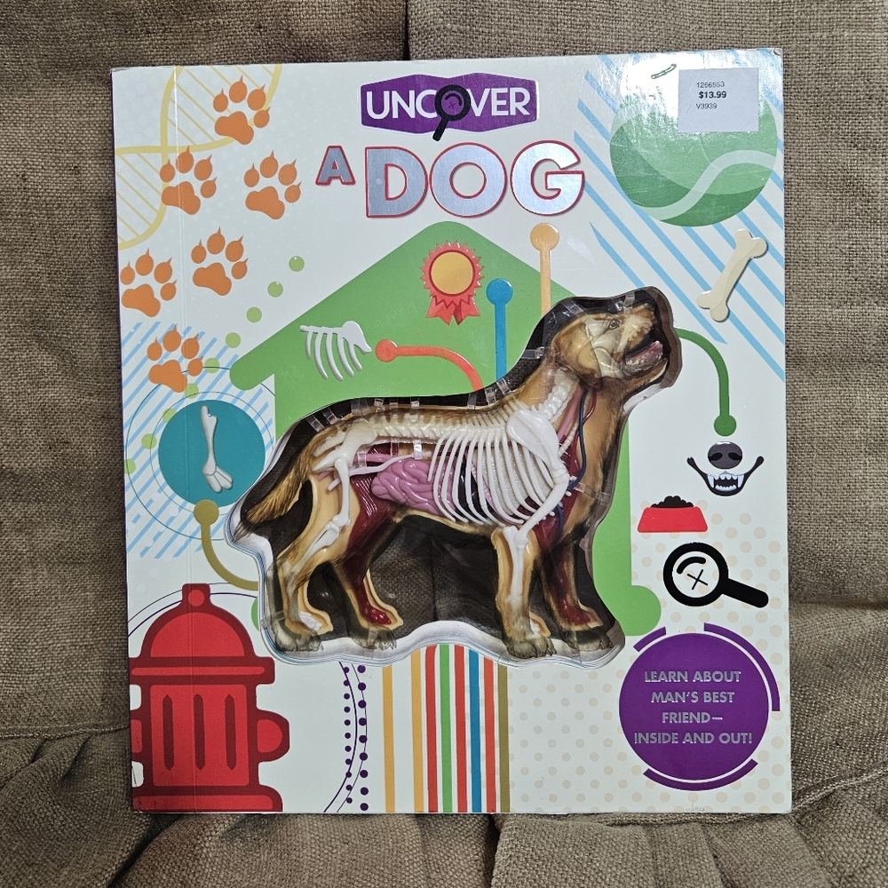 Uncover A Dog Inside & Out Skelton Book